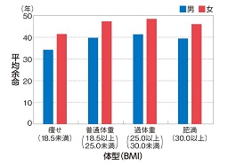 体型別に見た平均余命